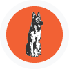 Course Logo